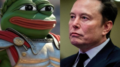 Elon Musk a Path of Exile 2 egyik legjobb játékosának kiáltotta ki magát, a közösségnek kételyei vannak kép