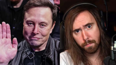 Elon Musk és Asmongold cicaharca a maga módján egészen szórakoztató kép