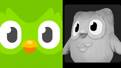 Temetik a terrorbaglyot, búcsúzik a Duolingo madara kép