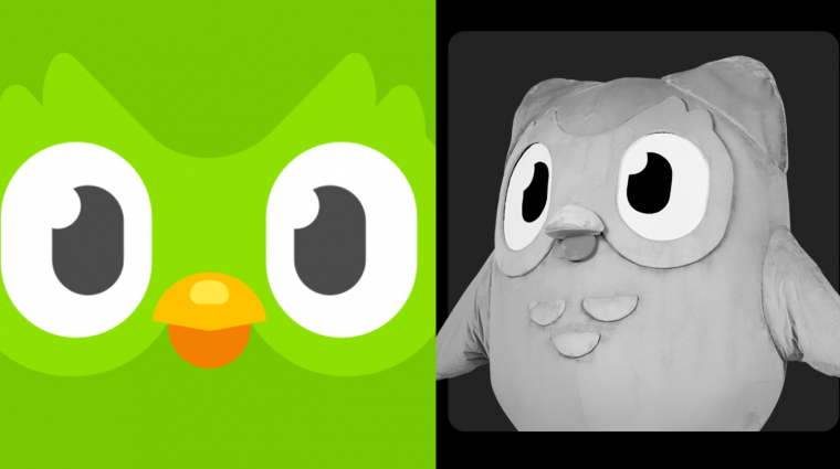 Temetik a terrorbaglyot, búcsúzik a Duolingo madara kép