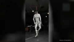 Életre keltették az emberi izomzattal rendelkező robotot - videó kép