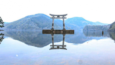 Blurred placeholder