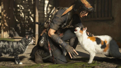 Egy Ubisoft-fejlesztő macskája is szerepel az Assassin's Creed Shadowsban kép