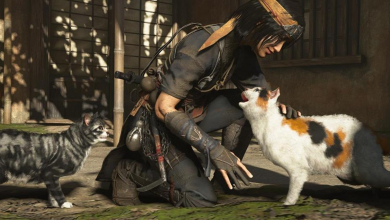 Egy Ubisoft-fejlesztő macskája is szerepel az Assassin's Creed Shadowsban