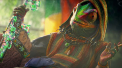 Már a játékosok is unják a fű-tematikájú skineket a Call of Duty: Black Ops 6-ban kép