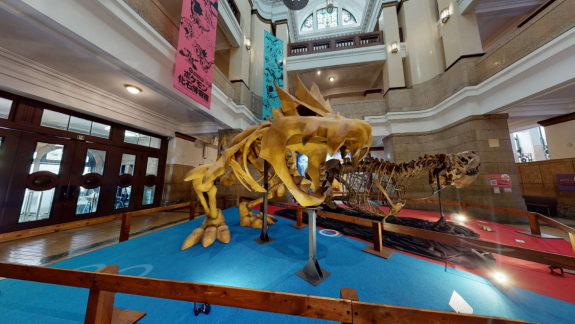 Chicagóba költözik a Pokémon fosszília múzeum kép