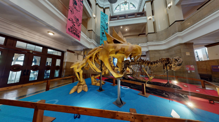 Chicagóba költözik a Pokémon fosszília múzeum bevezetőkép