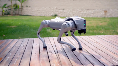 Olyan robotkutyát szerzett be Újpest önkormányzata, amilyet a kínai hadsereg is használ kép