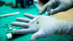 Sikeres teszten van túl a Paradromics agyi implantátuma kép