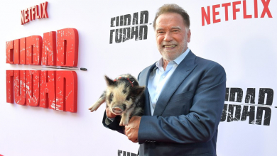 Schwarzenegger malaccal érkezett a FUBAR premierjére, így vonult a vörös szőnyegen kép