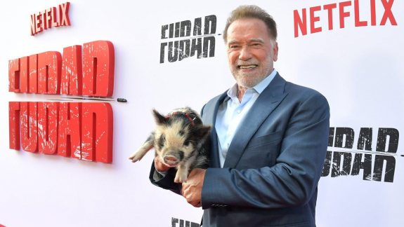 Schwarzenegger malaccal érkezett a FUBAR premierjére, így vonult a vörös szőnyegen kép