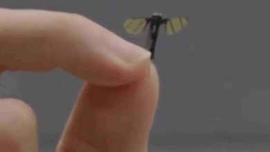 Zümmögő kémek: a kínai hadsereg parányi drónja alig nagyobb egy szúnyognál kép