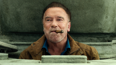 Ennyi volt, a Netflix két évad után elkaszálta Arnold Schwarzenegger sorozatát kép