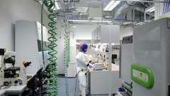 100 hónapja üzemel Európa legfiatalabb BSL-4 laboratóriuma Pécsett kép