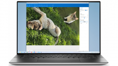 SoftOrbits AI Photo Editor teszt – a macska, ami ott se volt kép