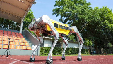 A kínai robotika Guiness-rekordot ünnepel kép