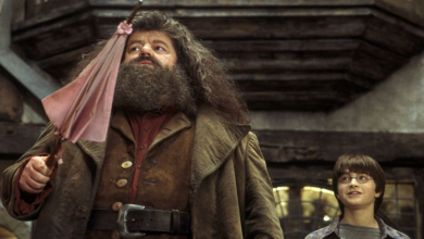 Harry és Hagrid a Foltozott Üstbe tartanak a Harry Potter-sorozat legújabb forgatási képein kép
