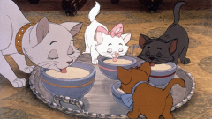 Vége a Disney élőszereplős Macskarisztokraták remake-jének, kukában landolt az egész projekt kép
