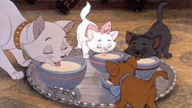 Vége a Disney élőszereplős Macskarisztokraták remake-jének, kukában landolt az egész projekt kép