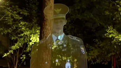 Dél-Koreában hologramrendőrök vigyáznak a rendre kép