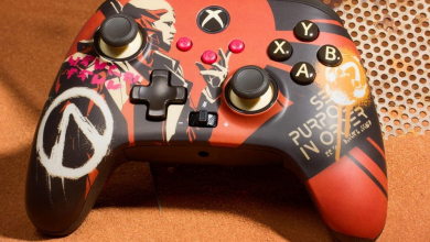 Különleges Borderlands 4 Xbox-kontroller készült kép