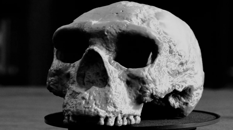 Újraírhatja az emberi evolúció történetét az egymillió éves emberi koponya kép