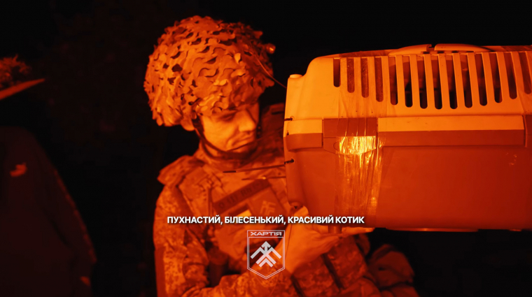 Távirányítású katonai járművel mentettek macskát ukrán katonák kép