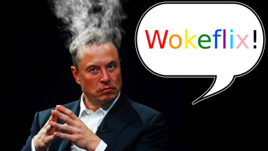 A művészi szabadság mindenkinek jár Elon Musk szerint, amíg nem szexuális vagy faji kisebbségekről van szó kép