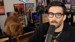 Bajban van a népszerű streamer, mert valószínűleg egy elektromos nyakörvvel tartja a kameraképben a kutyáját kép