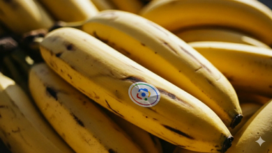 A Google új AI-ja, a Nano Banana, mindenhová betört – a keresésbe, a Fotókba és a NotebookLM-be is kép