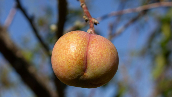 Az anális légzés lehet az orvostudomány következő nagy áttörése kép