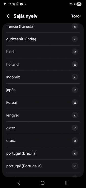 Itt kéne végre megjelennie a magyar nyelvnek - mi már nagyon várjuk!
