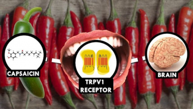 Mesterséges nyelv segíthet megmondani, mennyire csípős egy étel kép