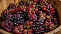 Megjelent a Microsoft saját, belső fejlesztésű képgenerátora kép