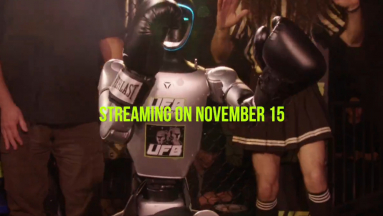 Feltörekvő sporttá vált a robotboksz kép