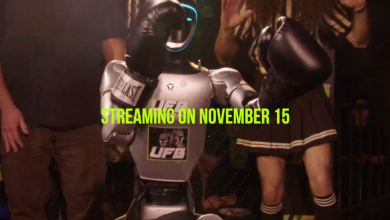 Feltörekvő sporttá vált a robotboksz kép