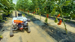 5G MPN AgriTech HUB – Csúcssebességgel a sorok között kép