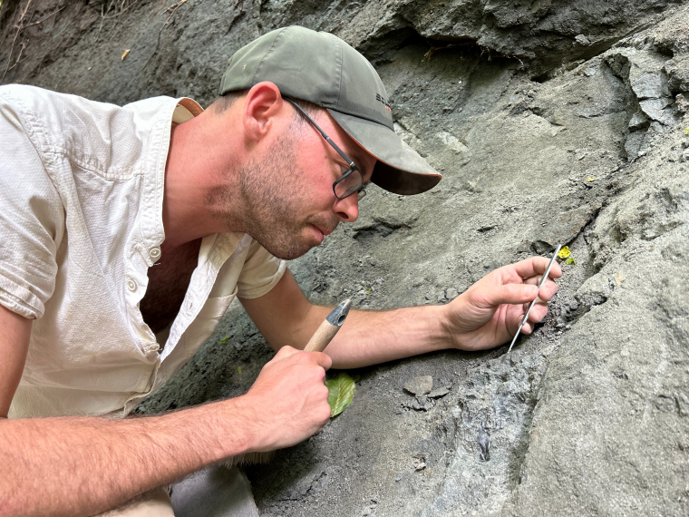 A kutatócsoport vezetője: Botfalvai Gábor