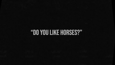 Valószínűleg lovacskás pornónak nézte a Steam az indie fejlesztő horrorjátékát és még azelőtt bannolta, hogy megjelenhetett volna kép