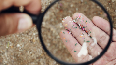 Bolygómentő áttörés: növényi alapú, tengerben lebomló műanyagot fejlesztenek kép