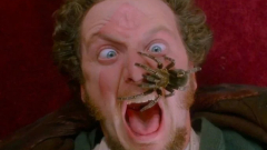 A Reszkessetek, betörők! Marvja kapott egy nagyon meglepő felkérést a McCallister-ház tulajdonosaitól kép