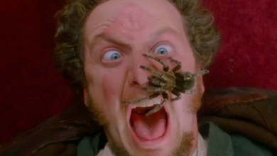 A Reszkessetek, betörők! Marvja kapott egy nagyon meglepő felkérést a McCallister-ház tulajdonosaitól kép