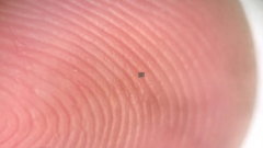 A világ legkisebb autonóm robotja már egy szem sónál is kisebb kép