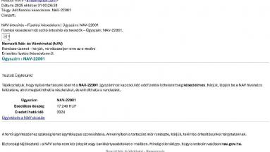 A NAV nevével visszaélve támadnak az adathalászok - így segít az adóhivatal felismerni a csalásokat kép