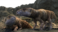 Magyar föld írja át a szarvas dinoszauruszok történetét kép