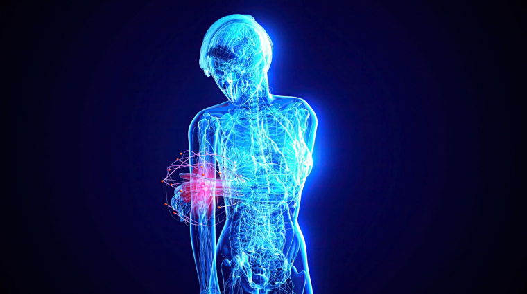 Ez a mesterséges idegpálya nem csak érezni, de gyógyulni is képes kép