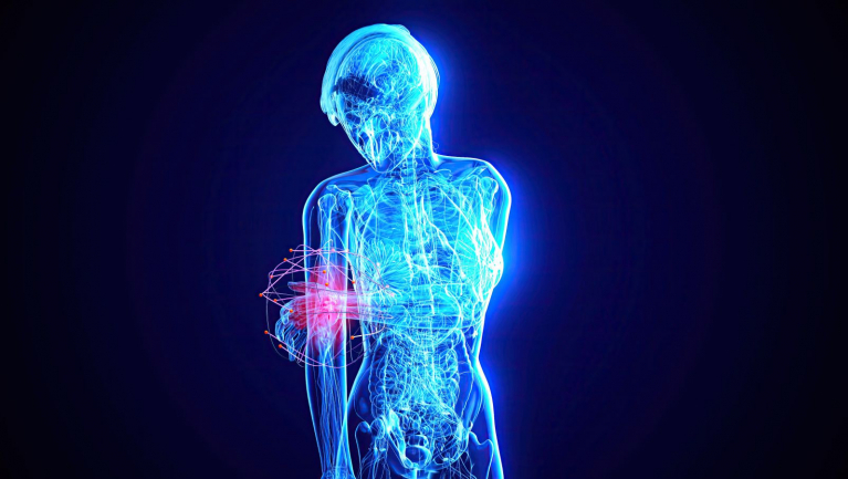 Ez a mesterséges idegpálya nem csak érezni, de gyógyulni is képes fókuszban