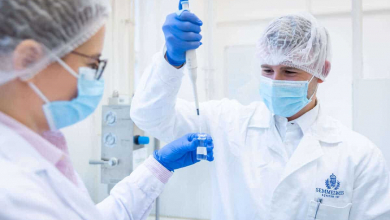 A Semmelweis Egyetem a világ 200 legjobb orvosi egyeteme közé került kép