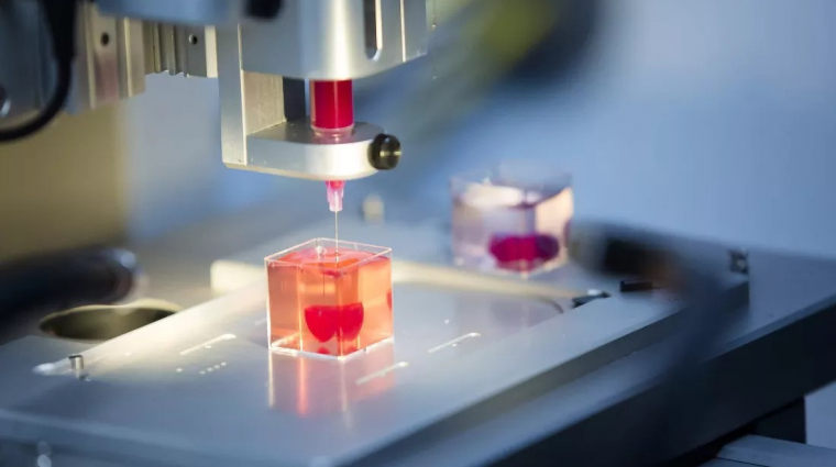 Működő májszöveteket állítanának élő kutatók úgynevezett bioprinting segítségével kép