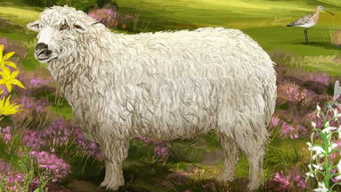 Az erdő új arca a lápvidéken - elképesztően addiktív lett a Dartmoor fókuszban